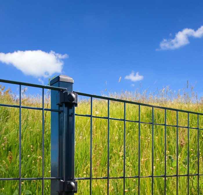 Wie Einstabmattenzäune Ihnen helfen, bei der Gartengestaltung Geld zu sparen