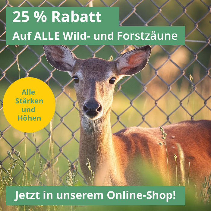 Rabatt Angebot mit Reh